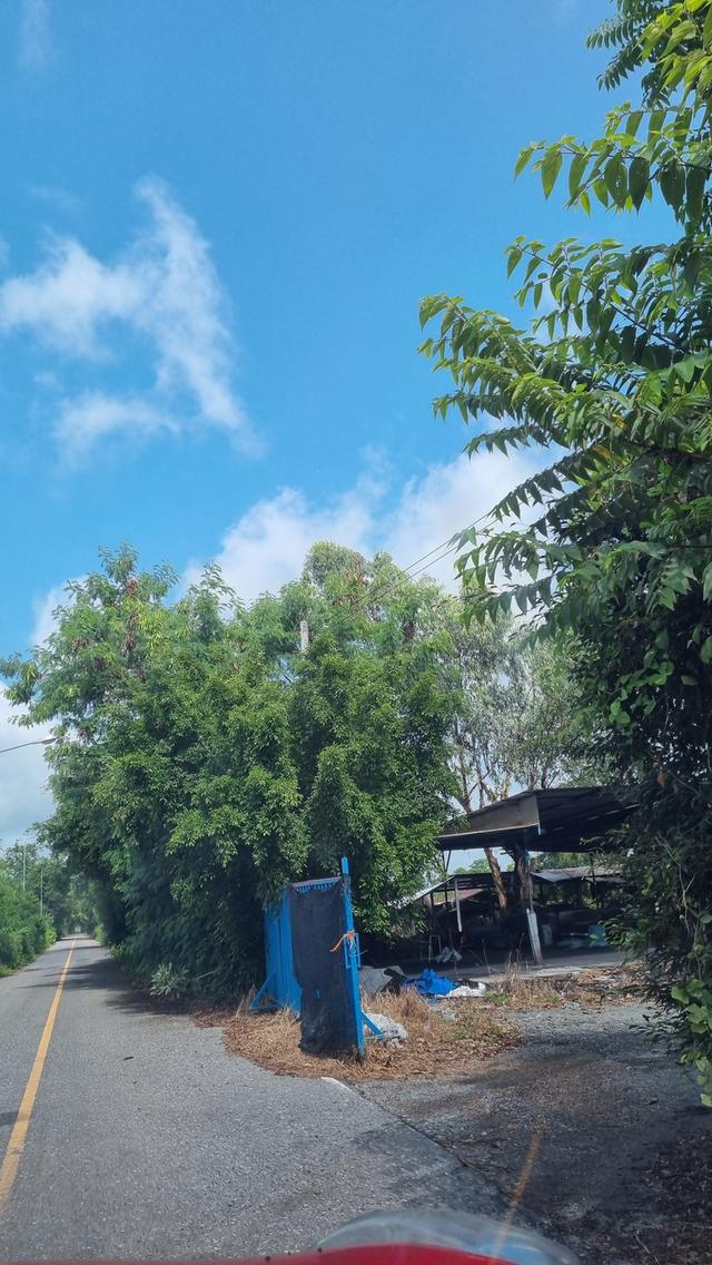 ขายที่ดิน เปล่าเนื้อที่20ไร่ อยู่ที่คลอง15 ต.คลองใหญ่ อ.องครักษ์ จ.นครนายก 2