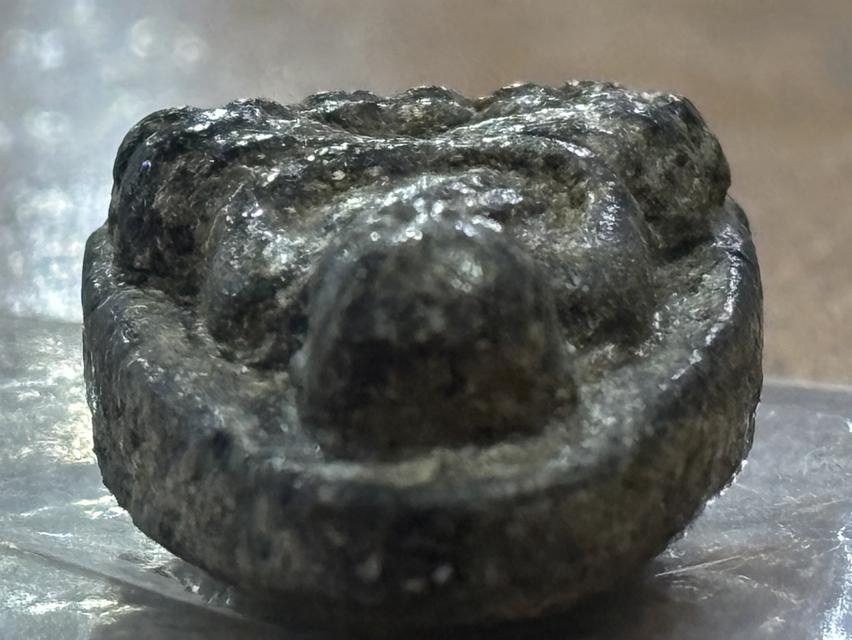 หลวงพ่อทวด2497 เนื้อว่าน