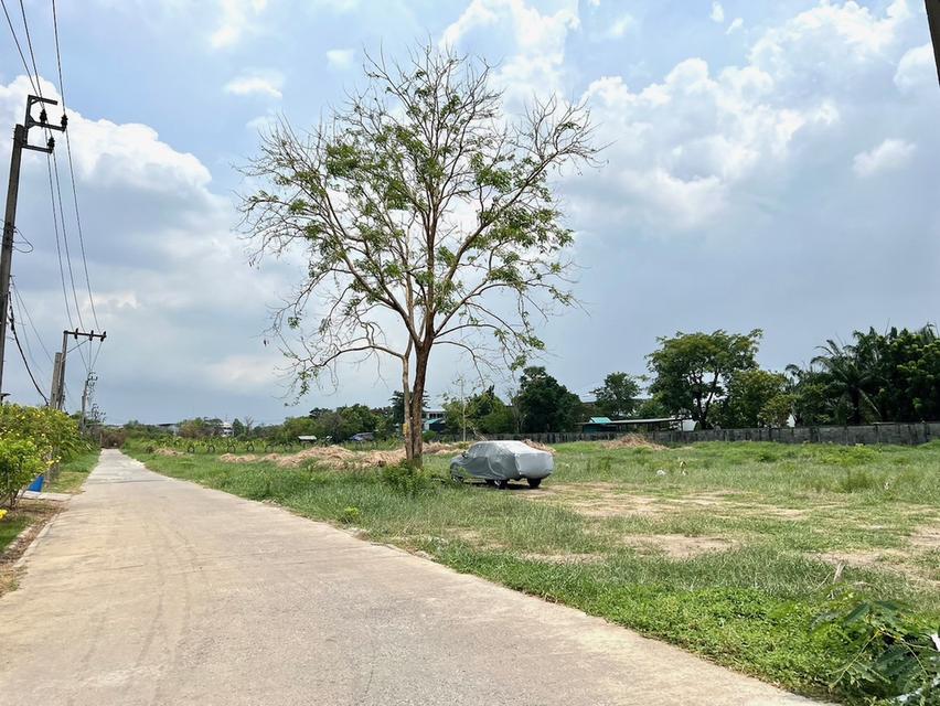 ขายที่ดินเปล่า (ถมแล้ว) ถนนสุขาภิบาล 5 ซอย 82 3