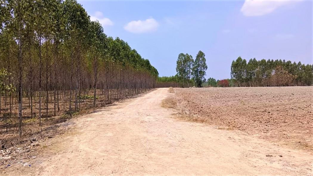 ขาย ที่ดิน ME322 ทำเลดี ราคาถูก เขาหินซ้อน พนมสารคาม ฉะเชิงเทรา . 43 ไร่ 1 งาน 32 ตรว เหมาะโกดัง คลังสินค้า บ่อทราย ใกล้ 3