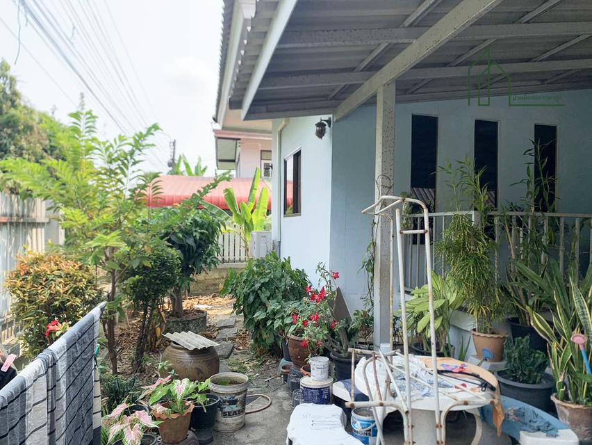 บ้านเดี่ยวชั้นเดียว 80 ตรว. ซอยราษฎร์อุทิศ มีนบุรี  10