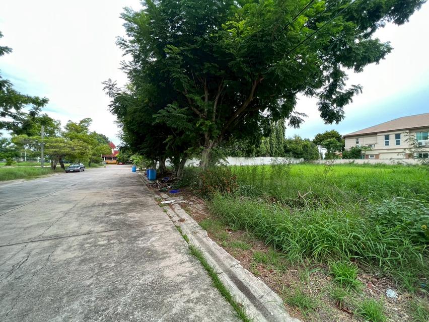 ขายที่ดินเปล่าถมแล้ว หมู่บ้านกรีนวัลเล่ย์ บางนา-ตราด กม.15 แปลงสวย ทำเลดี พร้อมสร้างบ้าน 8