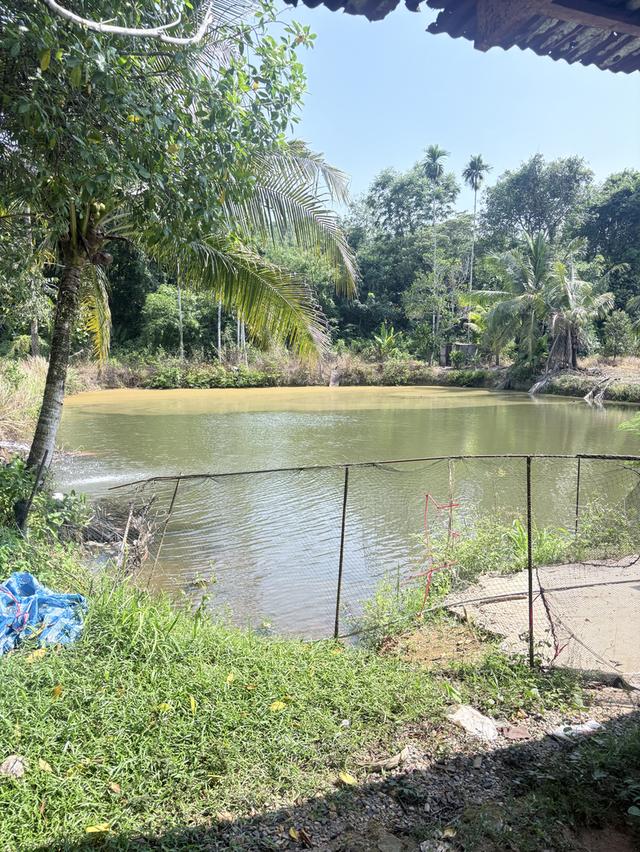 ที่ดิน18ไร่กว่าสวนทุเรียนกับมังคุดมีบ้านพักพร้อมอยู่น้ำไม่มีขาดไฟฟ้าเข้าถึงโฉนด 6