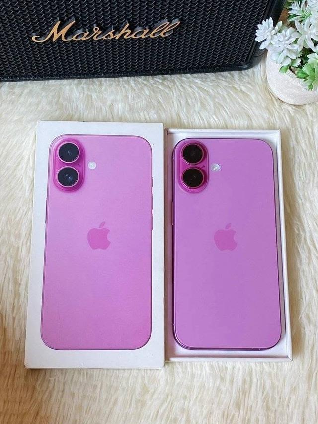 iPhone 16 สีชมพู