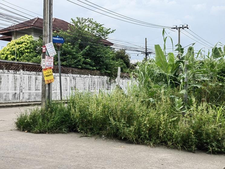 ขายที่ดิน 424 ตรว. ติดถนนพัฒนาการ78 ใกล้ถนนพัฒนาการตัดใหม่ ถนนเฉลิมพระเกียรติ และถนนอ่อนนุช 6