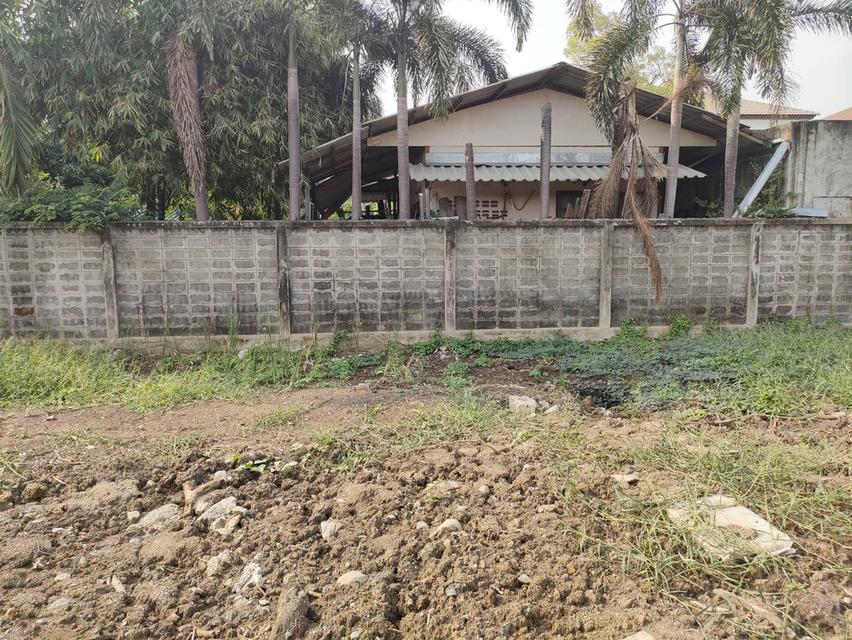 ให้เช่าที่ดินเปล่าถมแล้วในถนนมัยลาภ กรุงเทพมหานคร 6