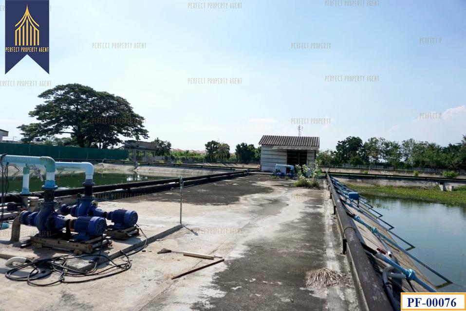 โรงงาน พร้อมบ่อบำบัดน้ำเสีย บางนา-ตราด วัดศรีวารี บางเสาธง ใกล้สนามบินสุวรรณภูมิ 10