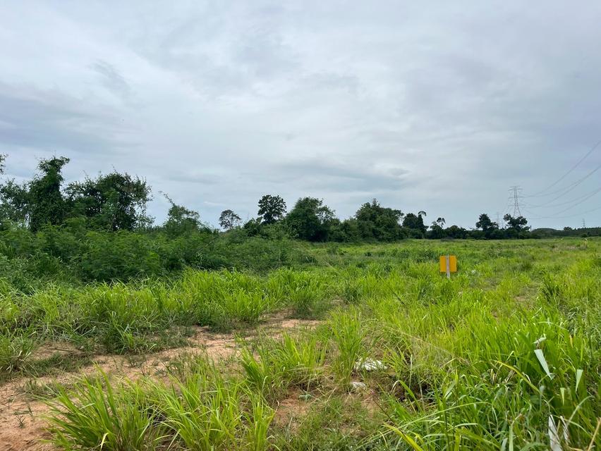 ขายที่ดิน ปลวกแดง ระยอง - ที่ดิน 12 ไร่  7