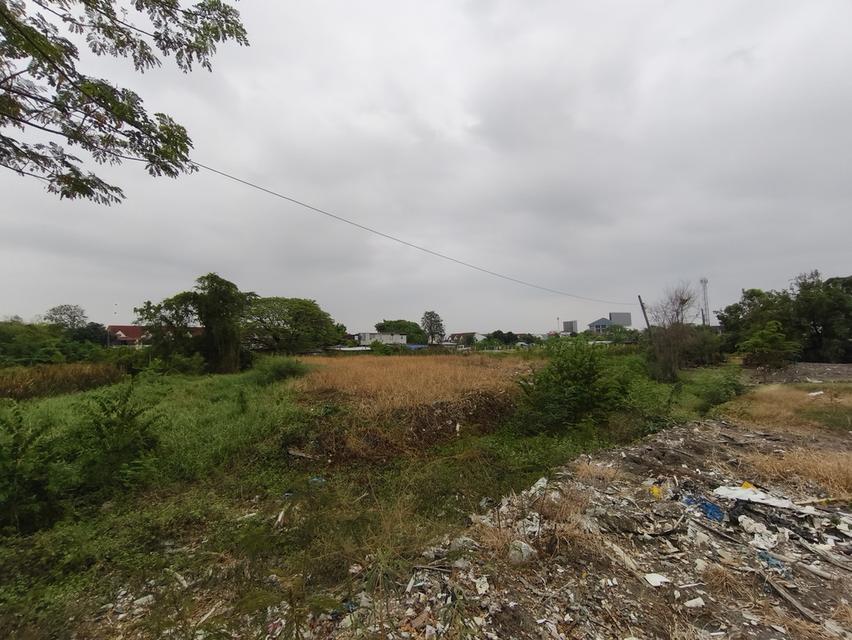 ที่ดินขนาด 100-200 ตารางวา ถ.พัฒนาการ เขตประเวศ 4