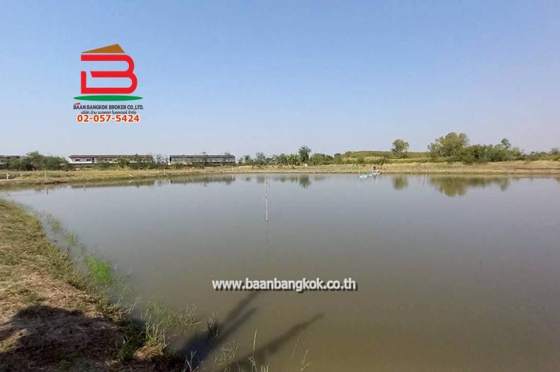 ที่ดิน ซอยโรงหลวง (ใกล้ห้างตะวันออกคอมเพล็กซ์) เนื้อที่ 9 ไร่ 1 งาน 67 ตรว. ตำบลหนองตีนนก อำเภอบ้านโพธิ์ ฉะเชิงเทรา 4