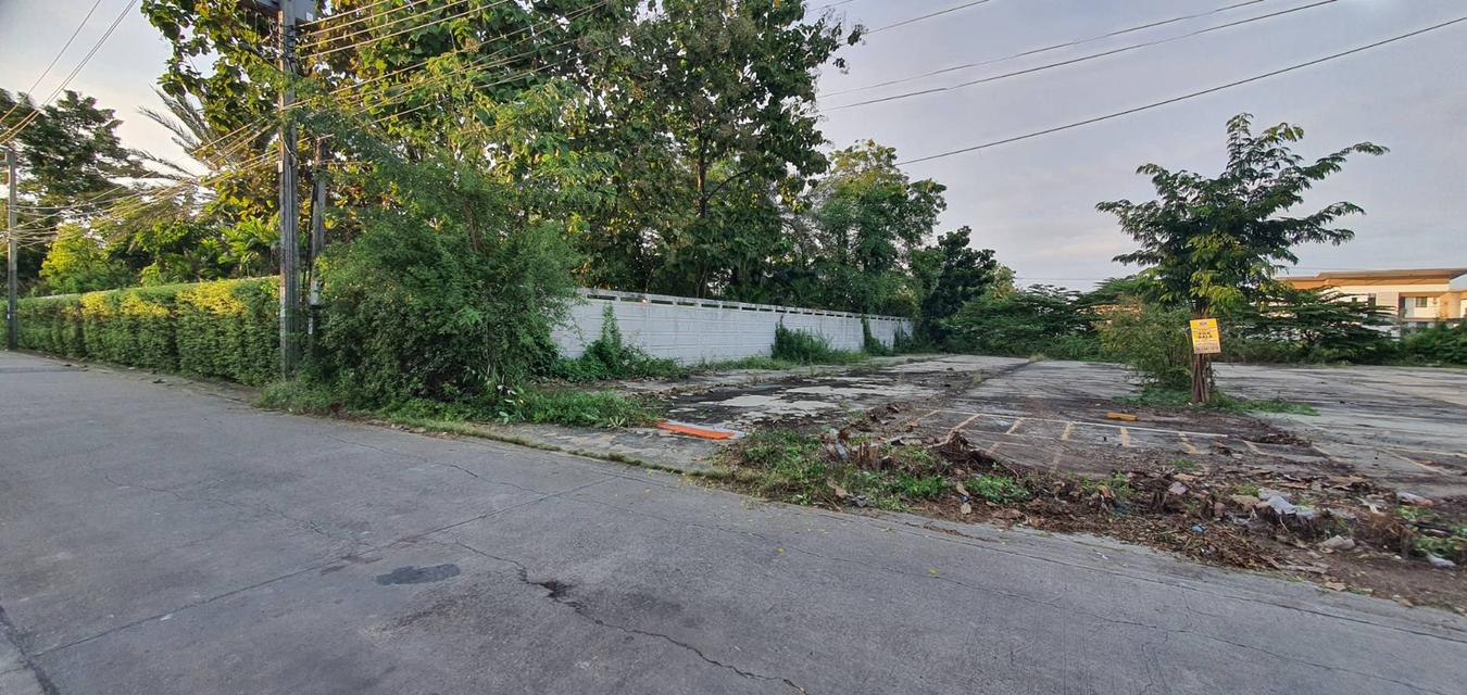 ขายที่ดิน 1 ไร่กรุงเทพกรีฑา, กรุงเทพ 2