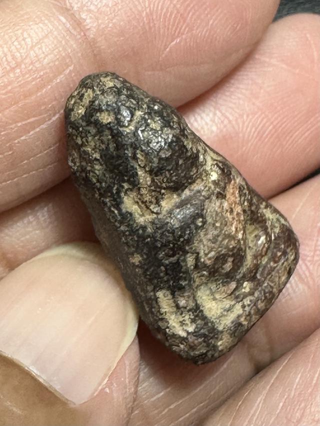 พระนางพญาพิมพ์ อกนูนเล็ก