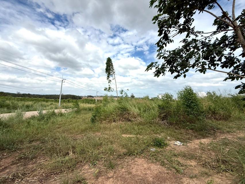 ขาย ที่ดิน ME392 ติดนิคมเอเชียคลีน ห้างสูง หนองใหญ่ ชลบุรี . 18 ไร่ 3 งาน 65 ตรว ใกล้ โรจนะหนองใหญ่ ท่าเรือแหลมฉบัง และถ