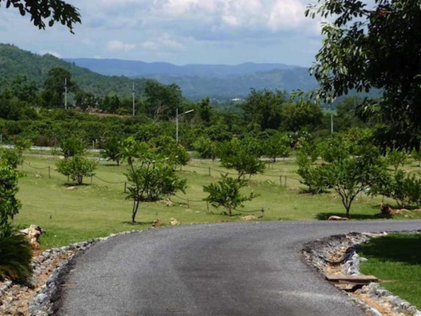 ขายบ้านพร้อมที่ดิน 32ไร่ 3 งาน 82 ตารางวา มีสวน เขาใหญ่ 3