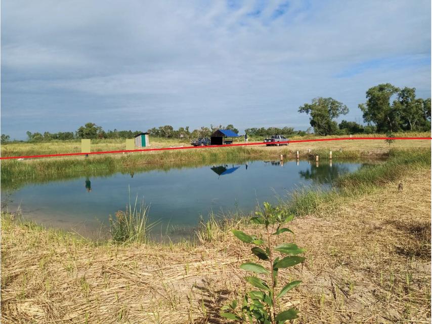 ขายด่วน! ที่ดิน จ.นครนายก คลอง16/ที่ถมแล้ว (เจ้าของขายเอง) 4