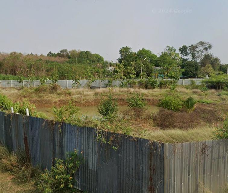 ขายที่ดิน กลางหมู่บ้าน เหมะสำหรับทำห้องเช่า 2