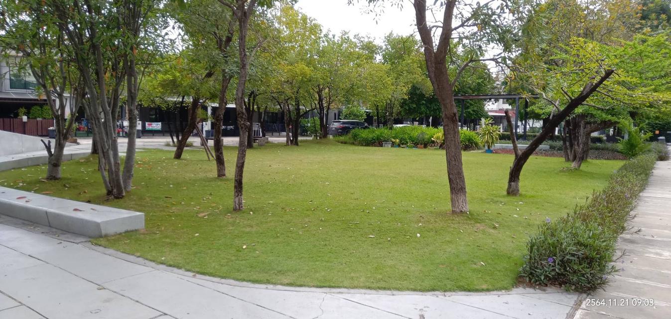 บ้านให้เช่าย่านพัฒนาการอ่อนนุช 12