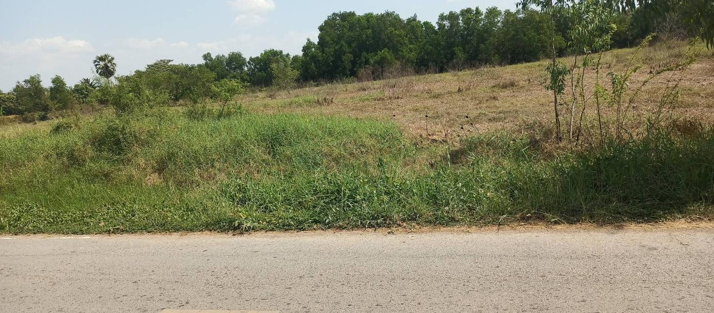 ขายที่ดินเปล่าแปลงใหญ่ 2 แปลงติดกัน ตำบลดงละคร อำเภอเมืองนครนายก จังหวัดนครนายก 9