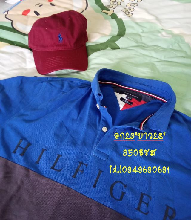 TOMMY เสื้อโปโล มือสอง นำเข้าคัด