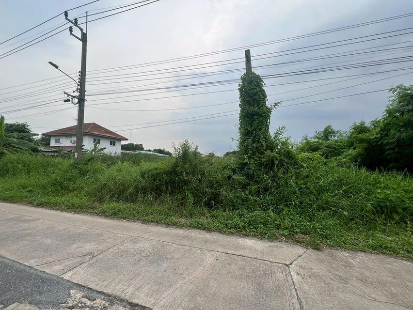 ขาย :ที่ดินเปล่า เนื้อที่ 140 ตรว.  2