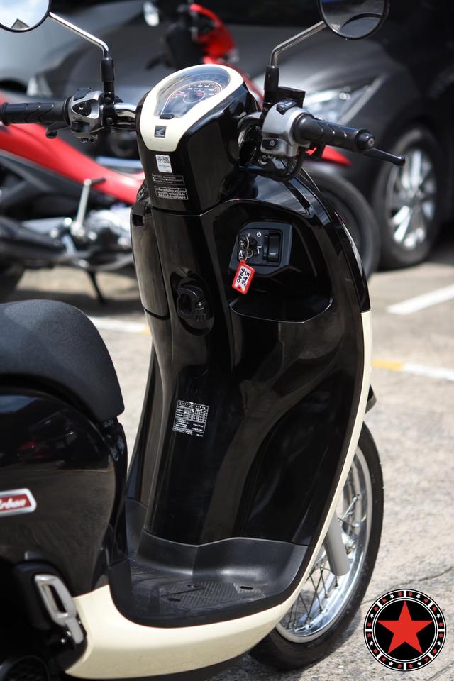 Honda Scoopy Urban 4