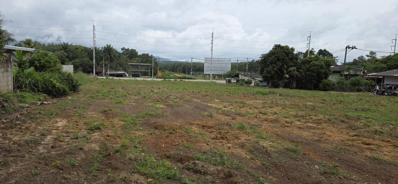 ที่ดิน ทำเลสวย กระบี่ 6