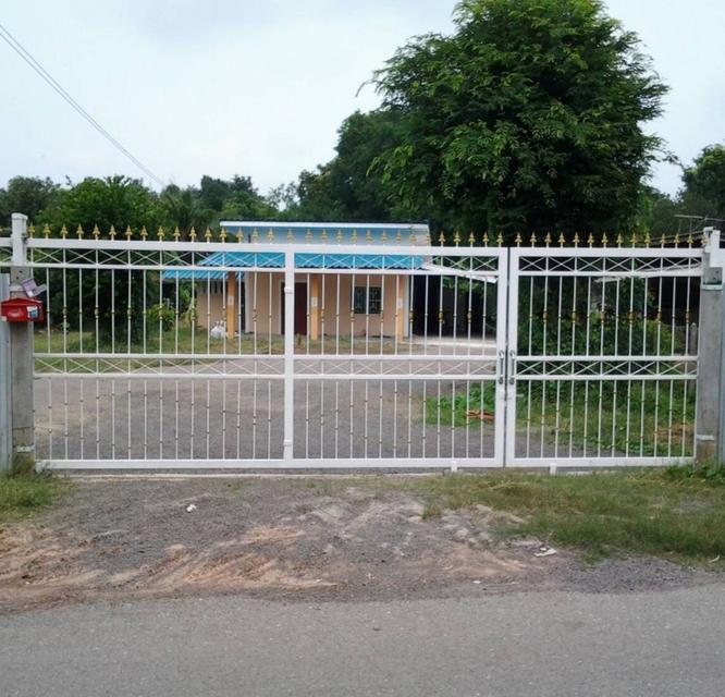 ขาย บ้านเดี่ยว ใกล้ราชภัฏจอมบึงราชบุรี 383 ตร.วา เหมาะทำบ้านสวนเกษตร 2