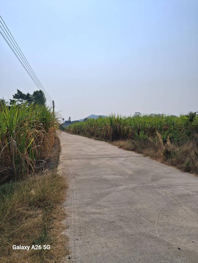 ที่ดิน อ.จอมบึง จ.ราชบุรี  พท  1.5 ไร่ ( 4 กม จากราชภัฏจอมบึง ) 5
