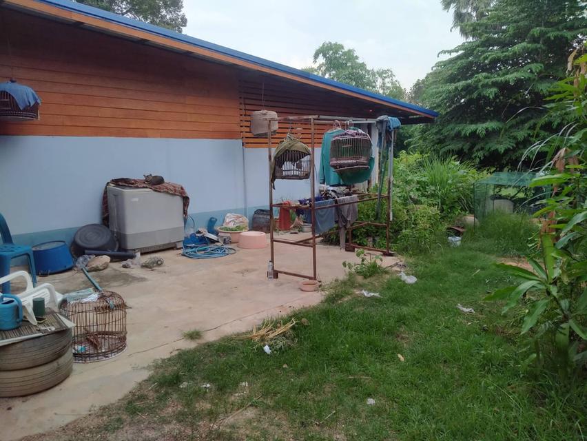 บ้านพร้อมที่ดินทำเลทอง 19