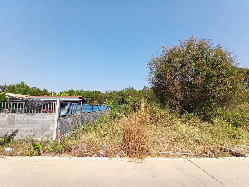 ขายที่ดินเนื้อที่ 200 ตารางวา ถมแล้ว คลองสาม 11/9 คลองหลวง จังหวัดปทุมธานี 2