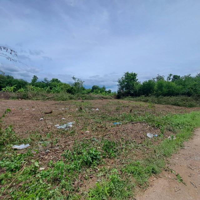 ขายที่ดินเปล่า ใกล้โรงเรียนเทพินทร์ 3