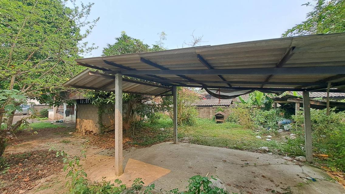 ขายบ้านตั้งอยู่ใจกลางตัวอำเภอเชียงดาว 9
