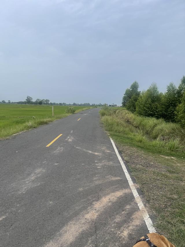 ทึ่ดินเปล่าติดถนนใหญ่ 11