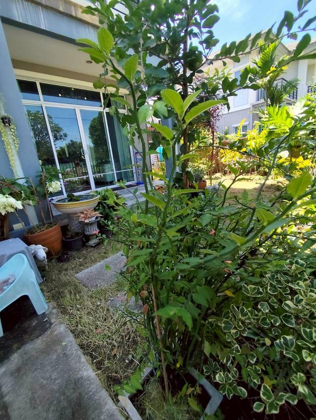 บ้านมิอสอง เดอะแพลนท์ อยุธยา 12