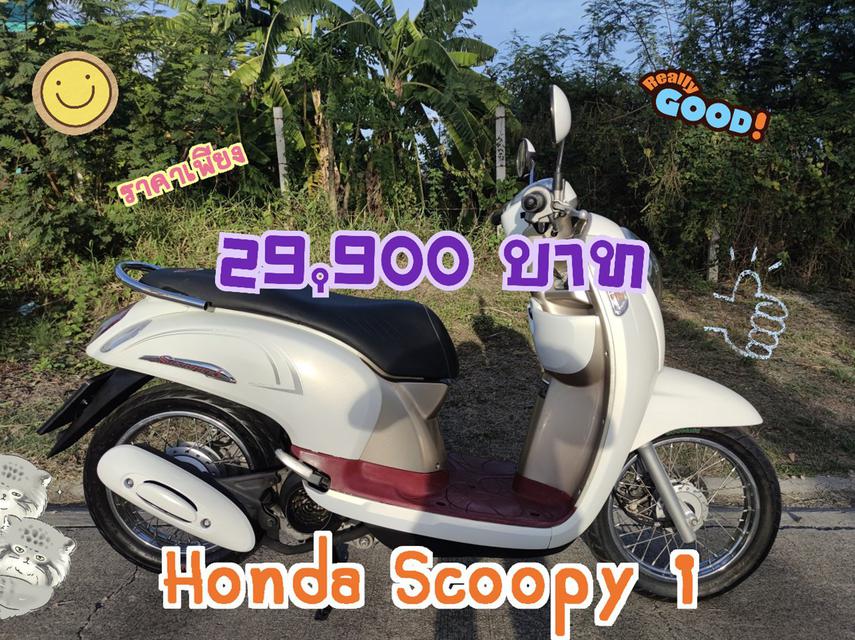 สด-ผ่อน Honda Scoopy i 110 cc 1