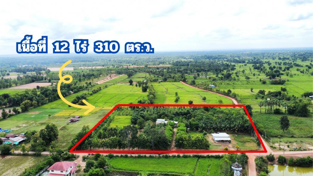 ขาย ที่ดิน ขนาดใหญ่ เหมาะสำหรับซื้อลงทุน 12 ไร่ 310 ตรว 6