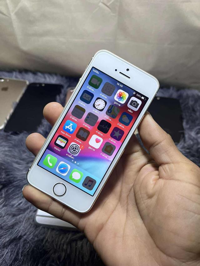 ไอโฟน iPhone 5s 32 กิ๊กสแกนได้กล้องปกติหน้าหลังแบต 100 บอดี้สวยใส่ได้ทุกซิมขาย 990บาท