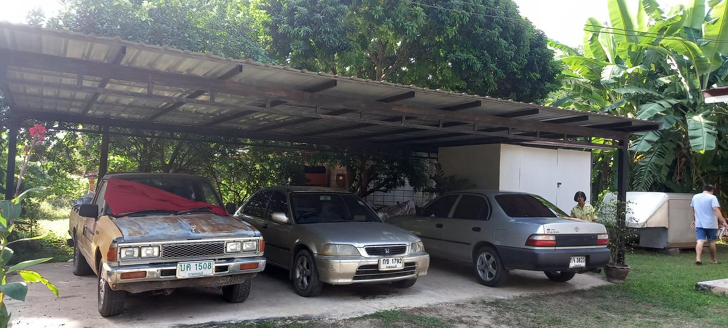  บ้านเดี้ยว3ห้องนอน1ห้องน้ำ(มีบ้านหลังเล็กกว้าง3×3ห้องน้ำ1ห้องแอร์1ตัว)โฉลดนส3. 2
