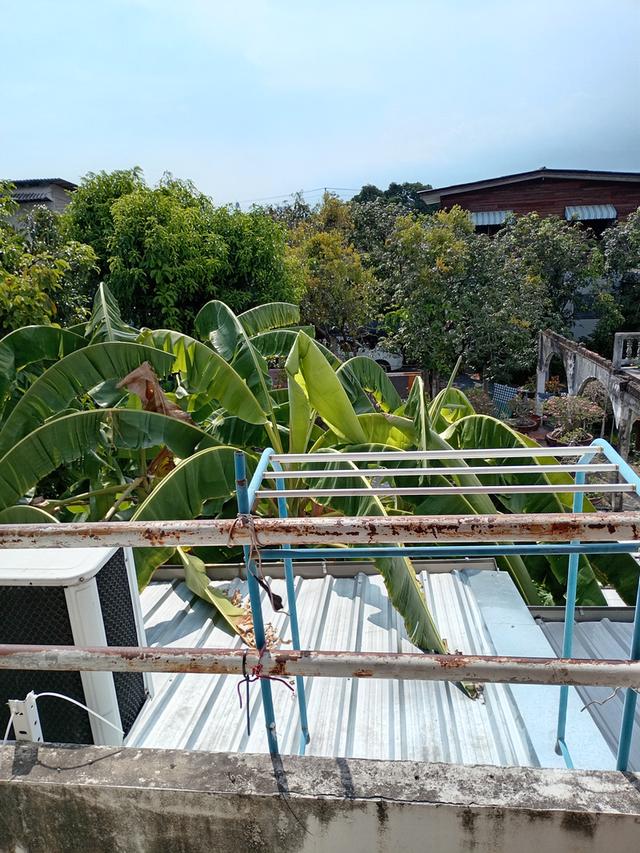 บ้านทาวน์โฮม​2​ชั้น​ 3​ ห้อง​น้ำ​2​ห้องนอน 15