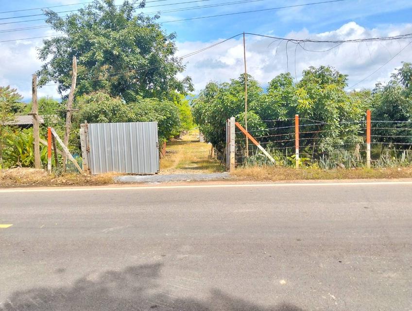ขายที่ดินวิวดอยหลวงเชียงดาว – ทำเลทอง อ.เชียงดาว จ.เชียงใหม่ 4
