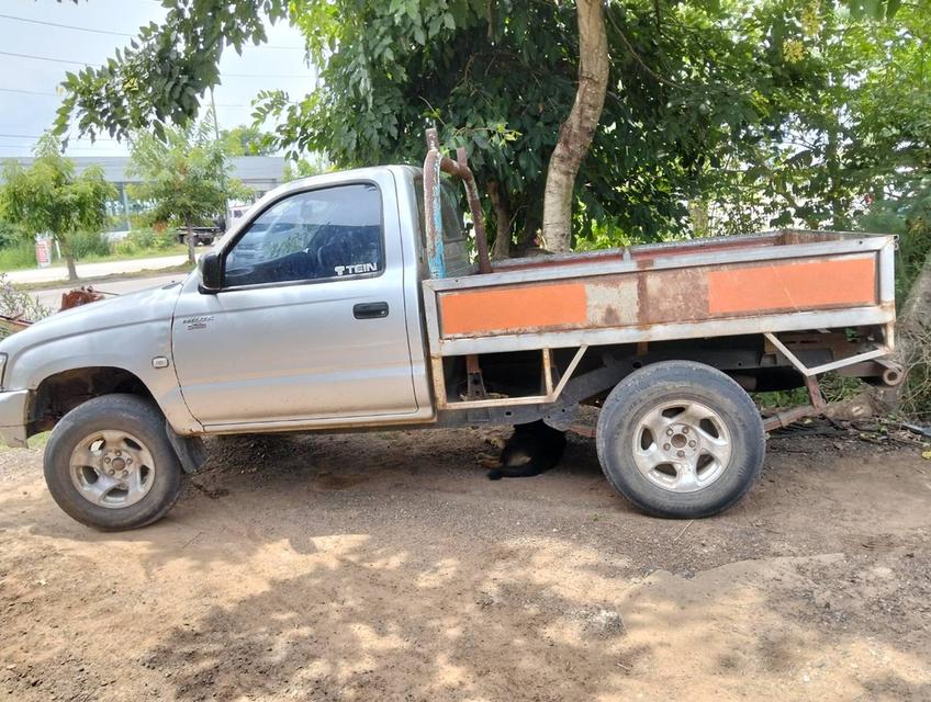 D4Dปี46 3