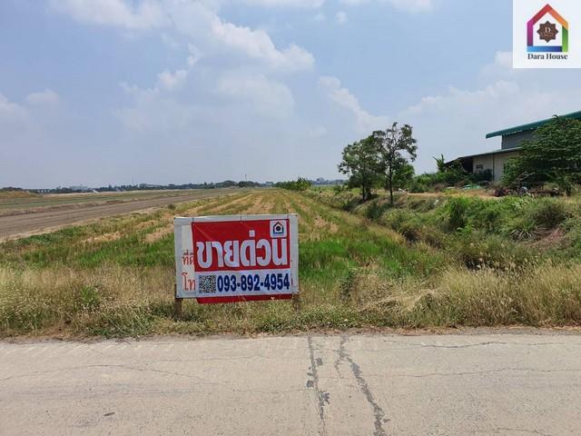 พื้นที่ดิน ขายที่ดินเปล่า ตำบลคูบางหลวง อำเภอลาดหลุมแก้ว จังหวัดปทุมธานี 16150000 - ONE PRICE! ที่ดินรูปสี่เหลี่ยมผืนผ้า