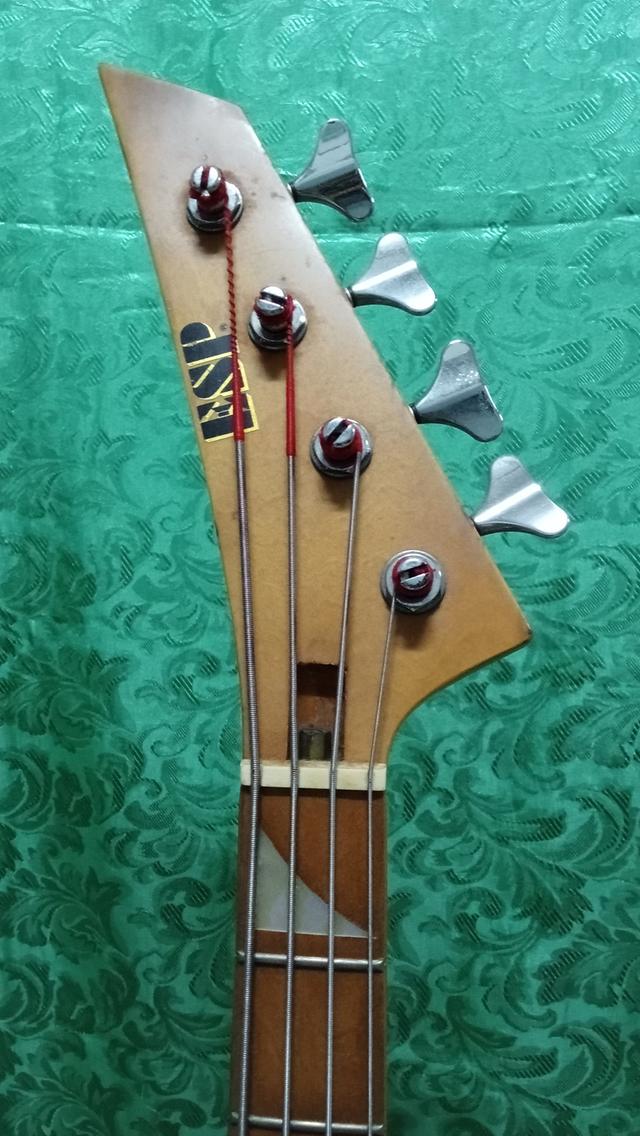 Bass ESP 12