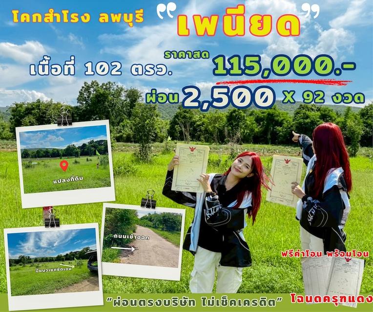 ที่ดิน เพนียด ลพบุรี ขนาด 102 ตร.วา 115,000