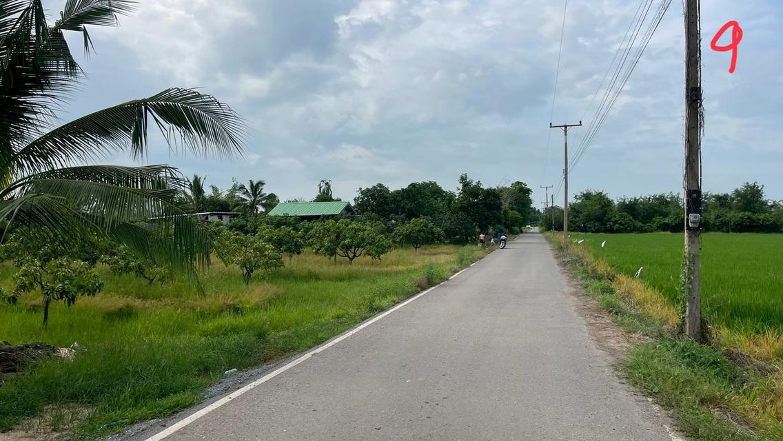 ขายด่วนที่ดินแปลงสวย 10 ไร่ 5