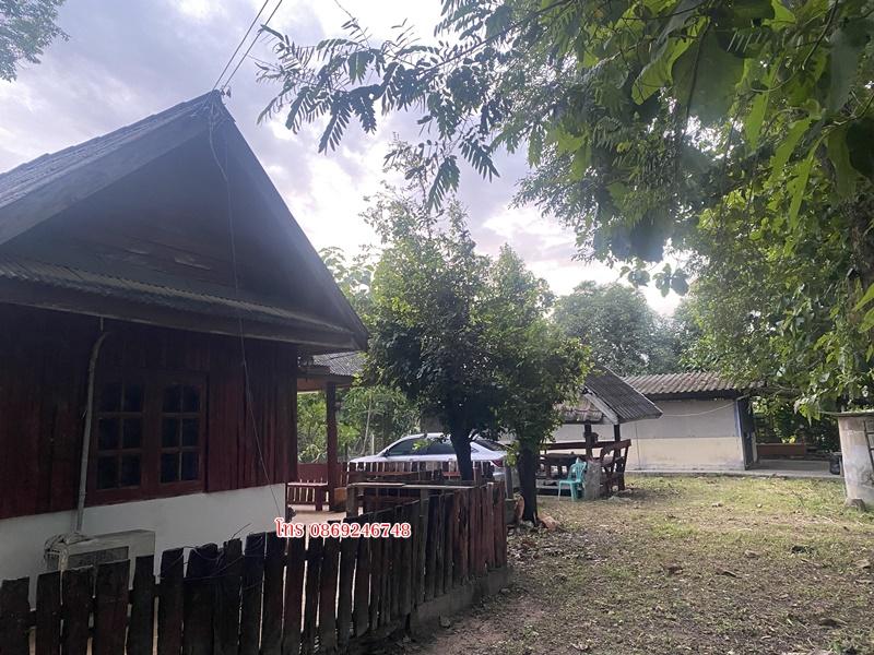 บ้านพร้อมที่ดิน200ตารางวา 14