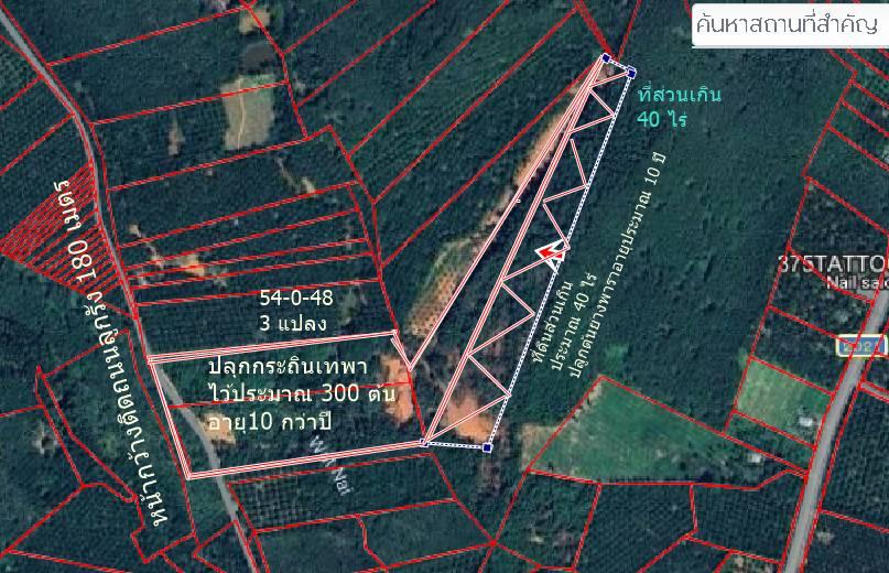 ขายที่ดิน 54 ไร่แถวภบทอีก 40 ไร่ ต.ชุมโค อ.ปะทิวขาย 25 ล้าน 2
