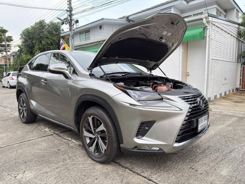 Lexus NX300H มือสอง ปี 2019 2