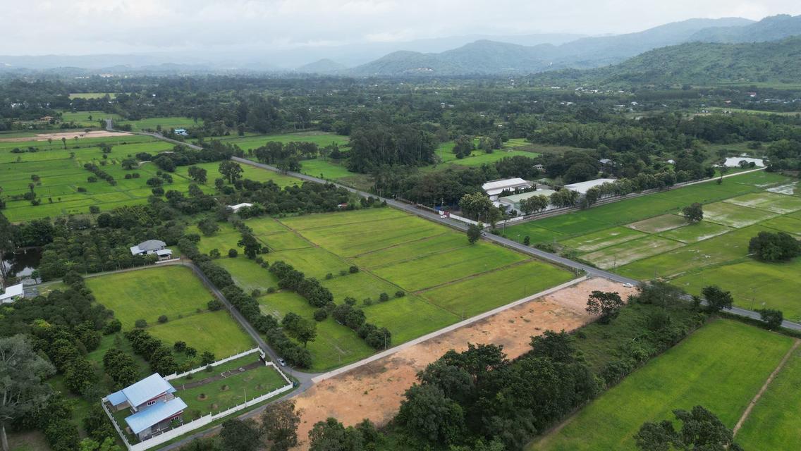 เปิดขายที่ดินทำเลบ้านนา นครนายก เริ่มต้นเพียง 4,900 บาท/ตร.ว. 9