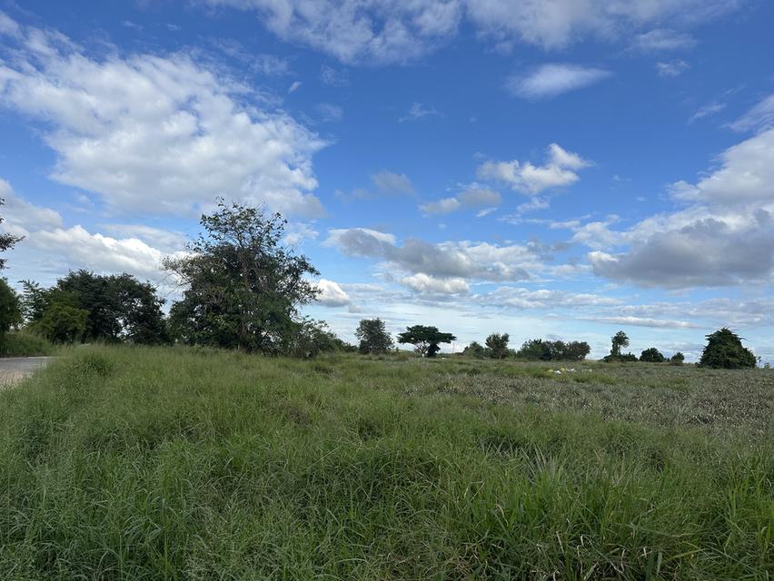 ที่ดินใกล้นิคมอีสเทิร์นซีบอร์ด ชลบุรี-บ่อวิน 7